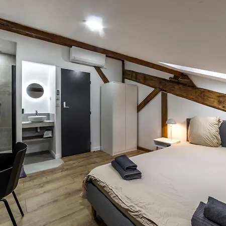 Maison Le Gratte Ciel - Seminaire Ou Famille, Salle De Reunion, 8 Clim, Jardin & Salle De Sport